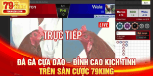 Đá gà cựa dao