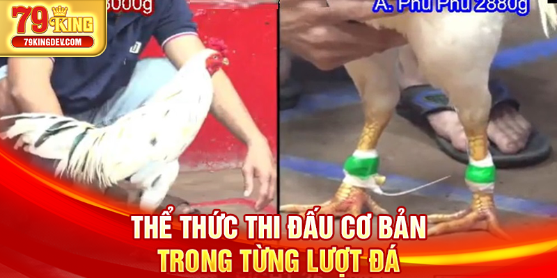 Thể thức thi đấu cơ bản trong từng lượt đá